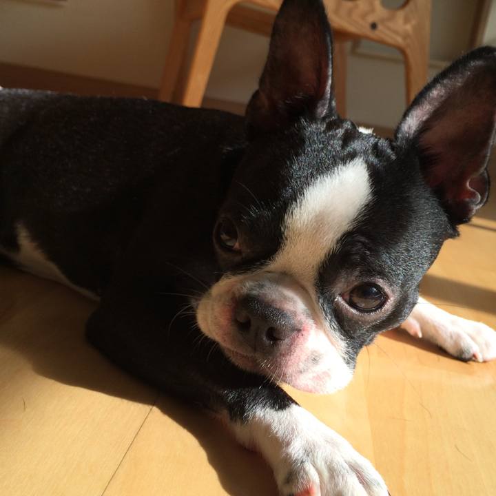 16165ff7 1646 4fd1 9320 ce0ed9ee94ed