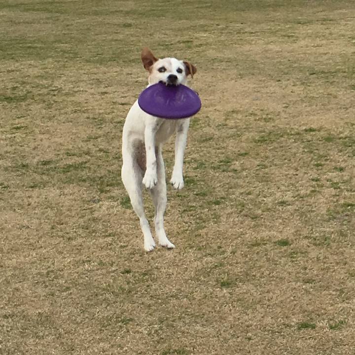 16166430 df39 4ff8 9cde c53e8f213674