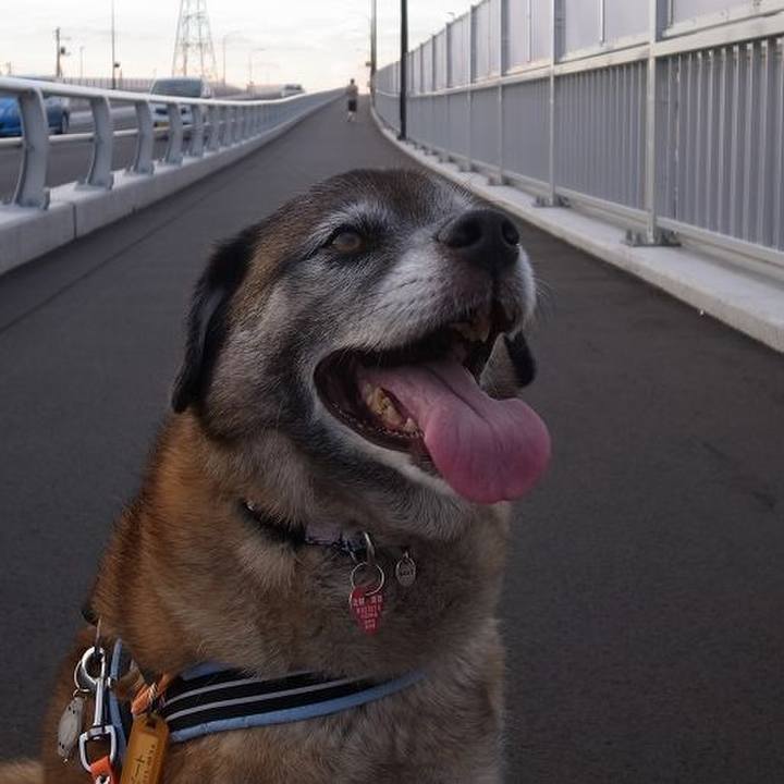 16169121 feec 4e93 9f7c 5ad0f4232296