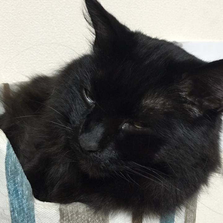 1616ab12 c352 4d0a 87c5 636134a3369e