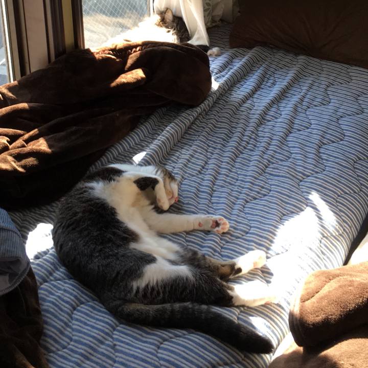 1616ba38 a146 40db 963f 1e0896767e9e