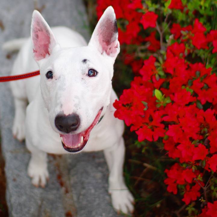 161769ce 8d89 4e05 81c2 6b8143aa1e70