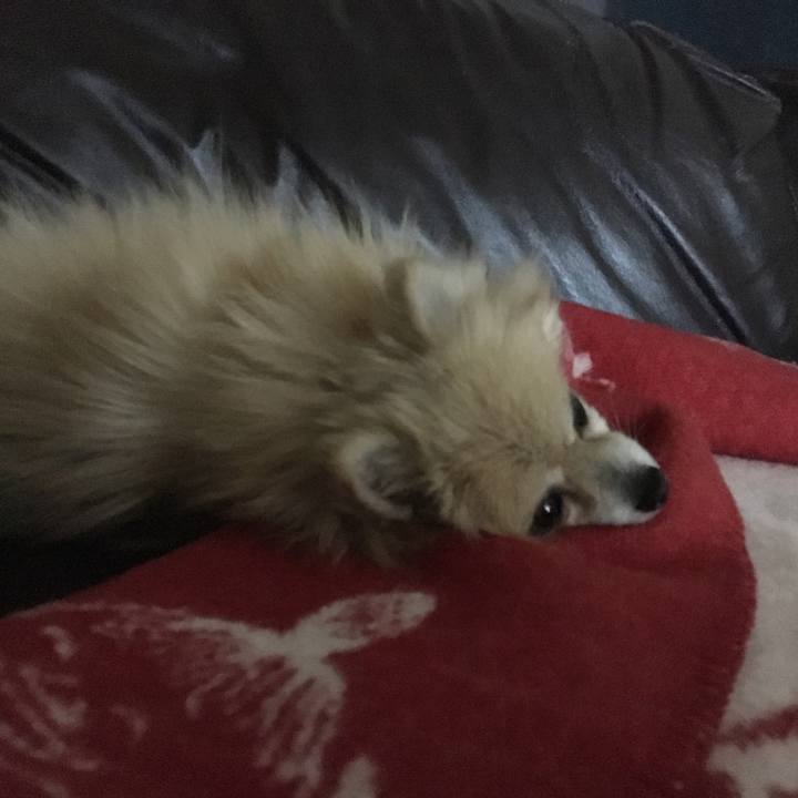 16189dfb 0163 4aca b3d6 40ecc35392c7