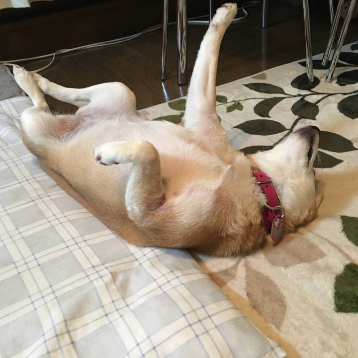 16189e1b 0214 4be4 862a fca1c3185c43