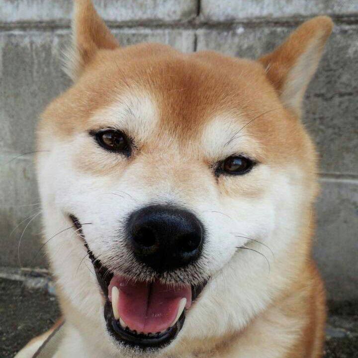 16190762 292f 4c5d 9df3 52a0bb19a856