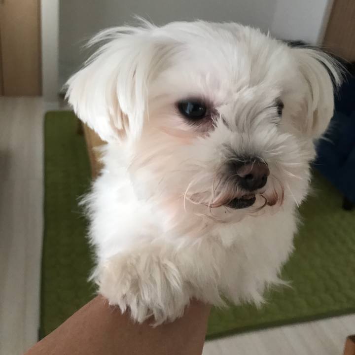 16192923 52c0 4f8f a4c5 491881c851c4