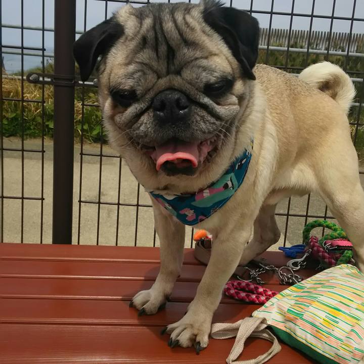 161973c8 06a2 439b 93ad ef4a3df16ad4