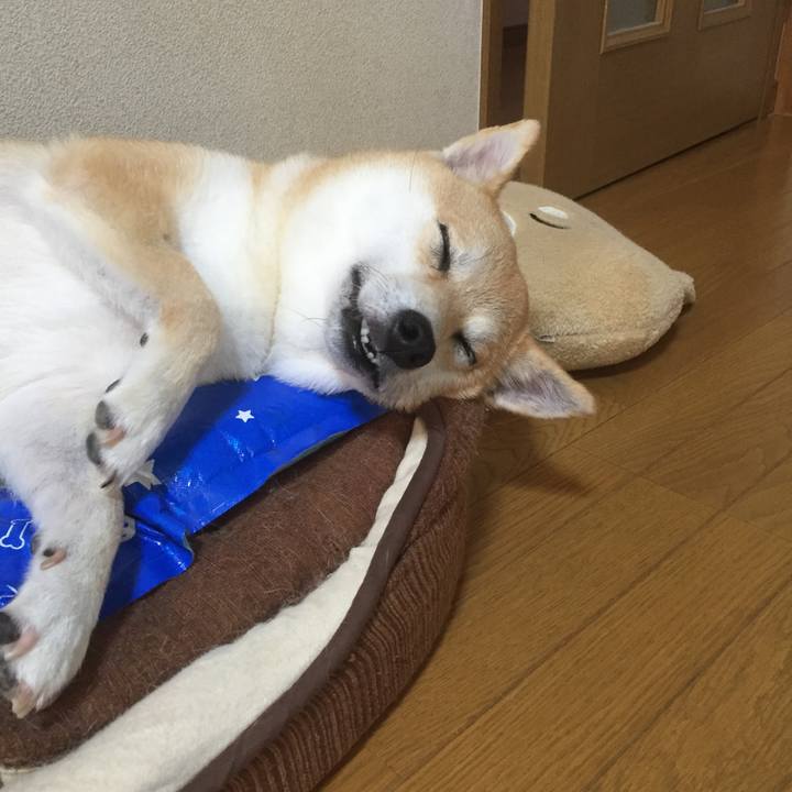 16199ded 2dff 4a81 9d6b 2edbcddb39f7