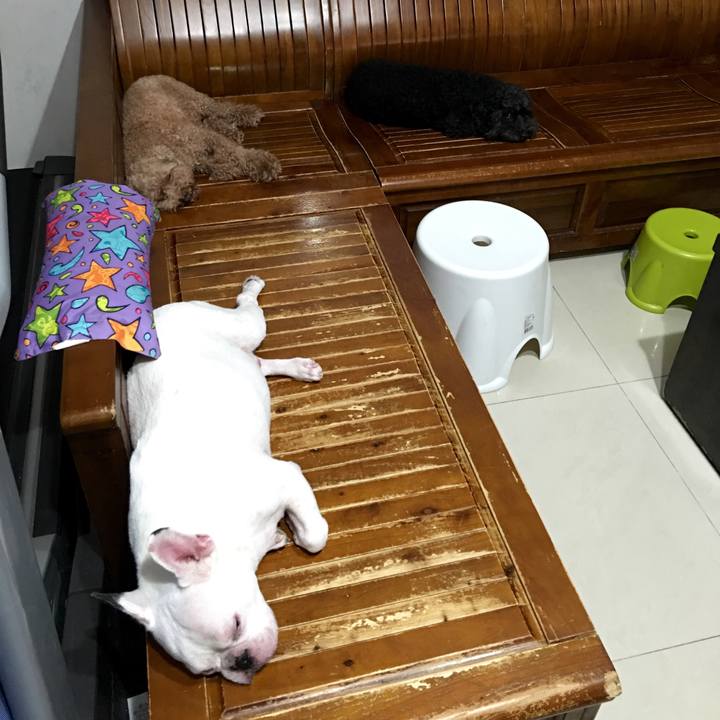 1619b9b7 781e 4ebf 8c6c f091eac14b27