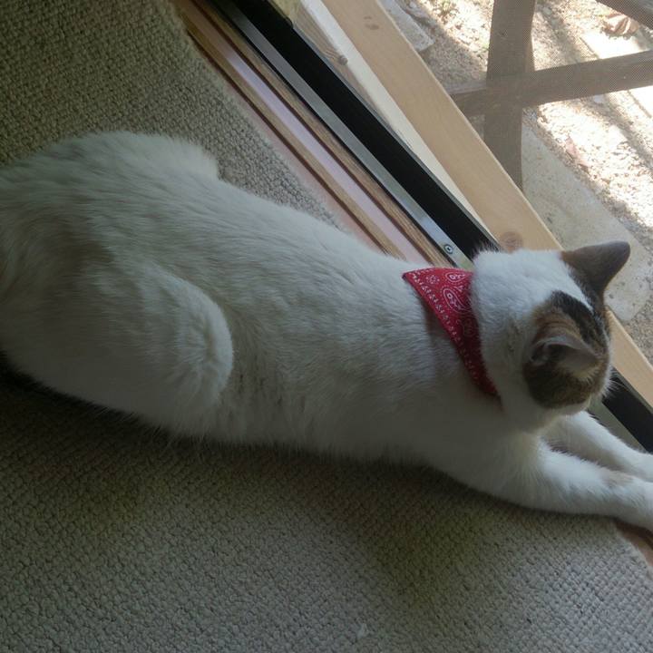 161a2da6 5201 4e8d b3b2 84aa6b6d7255