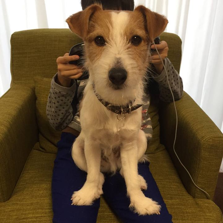 161a7a00 fdd9 499a 8c8b d7eab4373b32