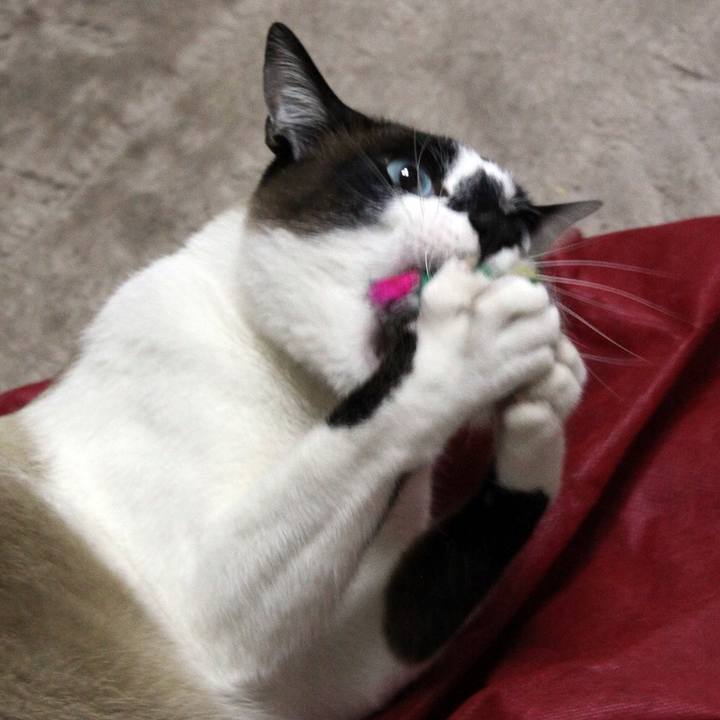 161a8dd1 8369 4fc5 aa7d b24ff331afd9