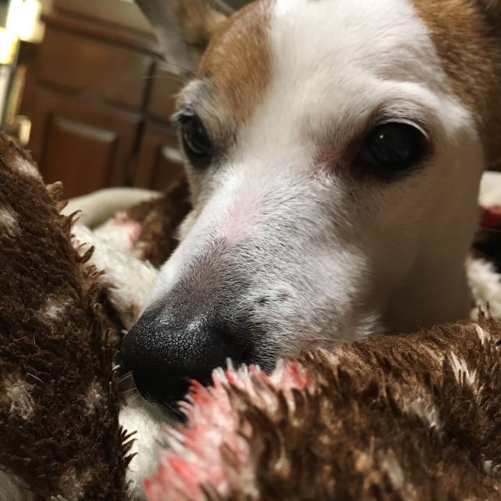 161aaef7 02a1 4140 a6b4 54883b7be0d7