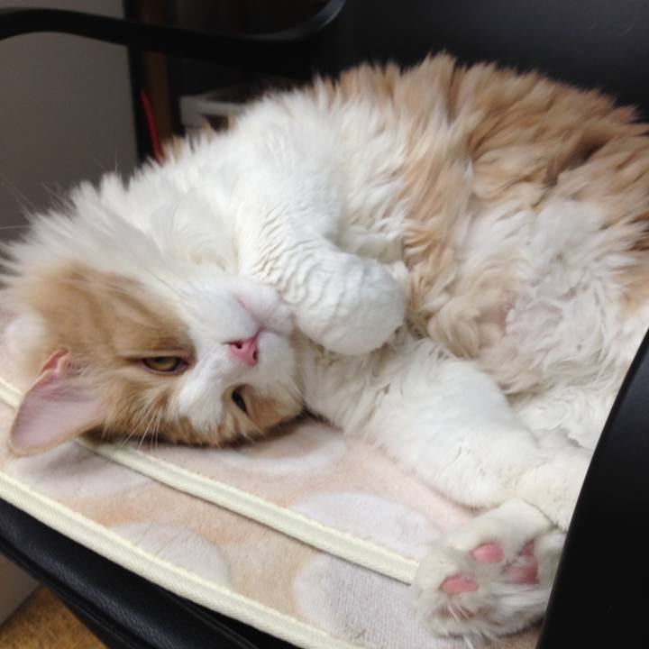 161ab471 9dfe 4b79 bf6d 95fd5951deb9