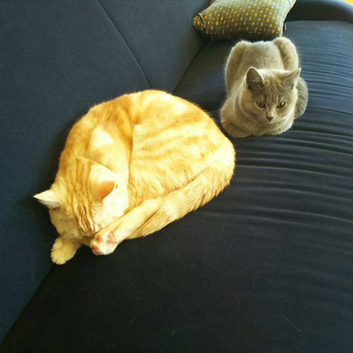 161c5f51 9c0a 47df 906a dceabfc3522d