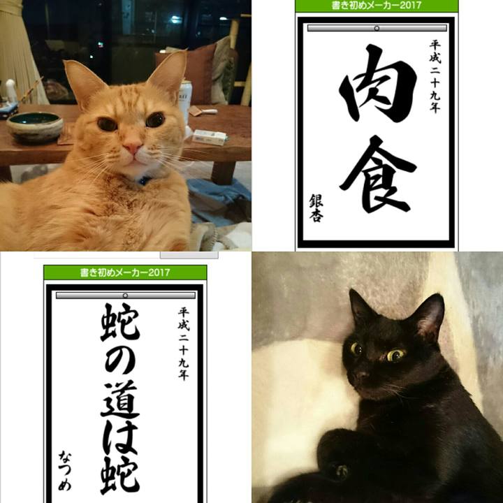 161c7d2c abf3 4547 a54e c2490644bb84