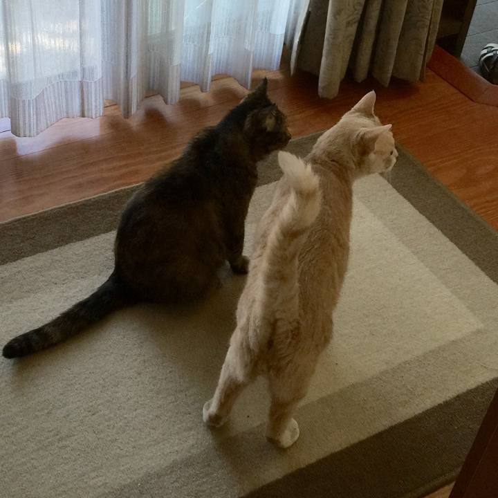 161c9cfa b72b 4beb 89a5 9f5139eb94a9