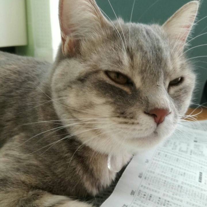 161ca433 2797 48a2 83b5 9b6404b54d0c