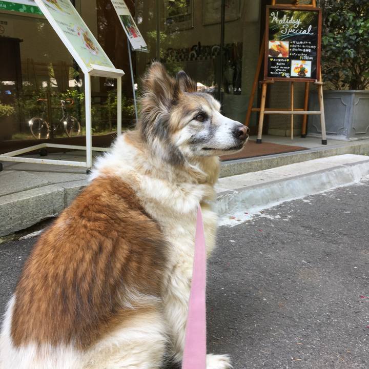 161cab95 be30 4b34 ab99 c45296342ed9