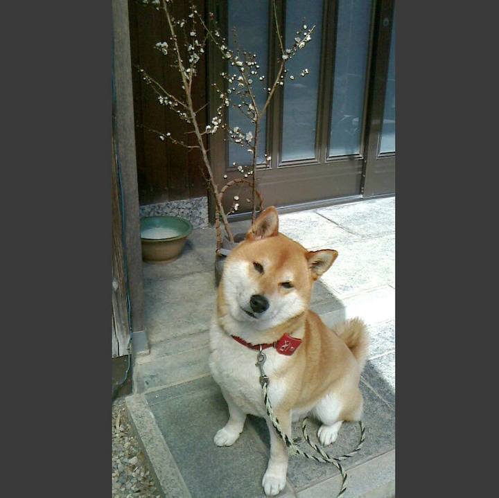 161cfa1a 7c60 47c2 bea8 2363a1cd5880