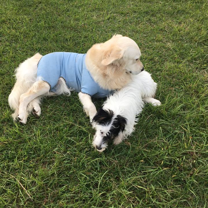 161d9d17 ee23 4e02 ba34 f195db7311c9