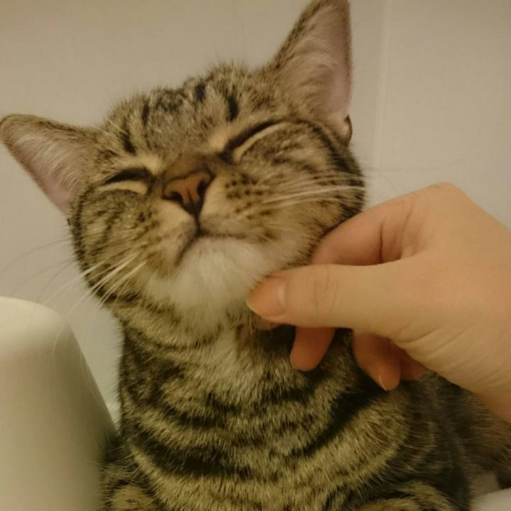 161dd5e2 5a0f 4dae bbae 5e7c68fd6879