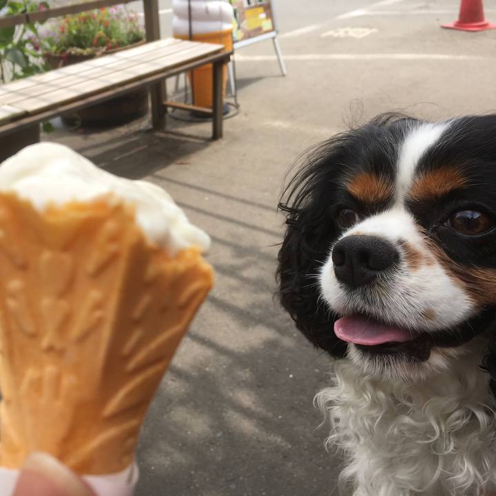 161ddc5b a70a 4b47 b6f4 de3735d451a3