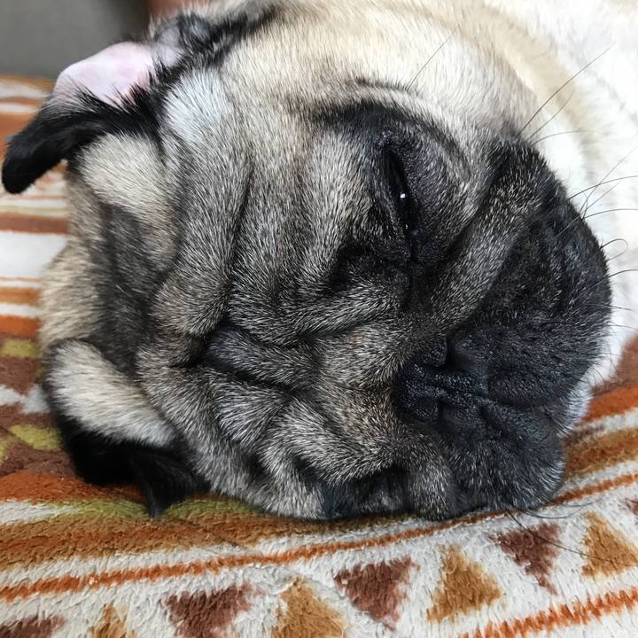 161e2888 5940 4054 aa53 6edde7cf0720