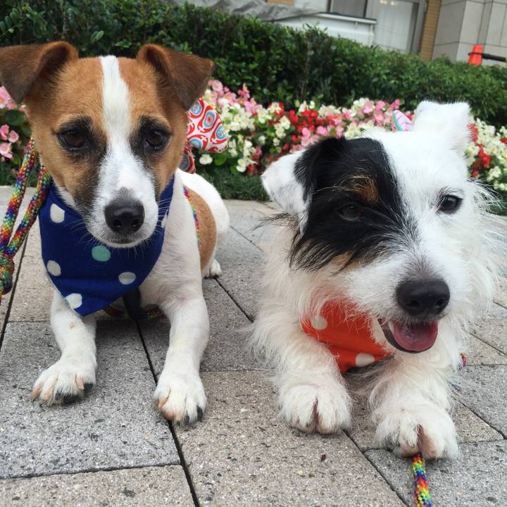 161e2a44 0379 4fc6 8ce7 e8a8949e1def