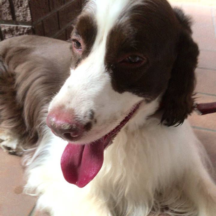 161ea69a efa0 4b29 81fe 8f3b1bbb2254