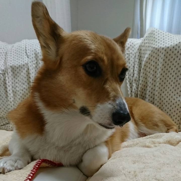 1620348f ce75 434e b814 1afc363e0f52