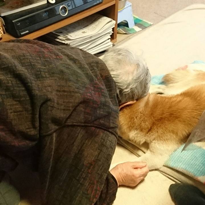 162038c3 a24e 4c1a 80de add725b24bab