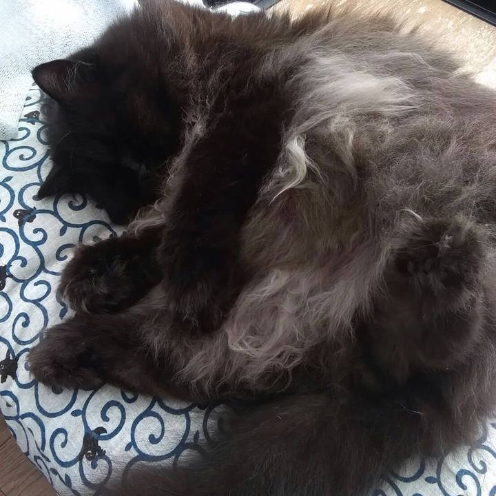 162052f9 d08d 40e9 b826 423cad7e610d