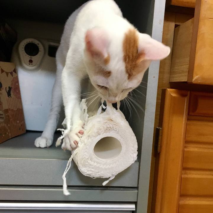 1620aa5a 1569 4270 9a64 ebf79a5862b9