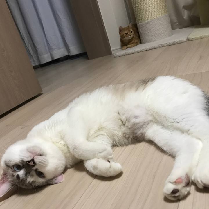 1620e0ac 6309 4fc5 869a 50b81a25d55d