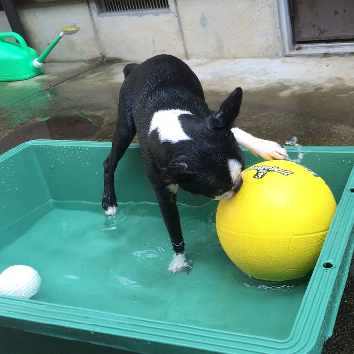 1621ec0a 0193 4a9f 9b9c fdee78ed12cd