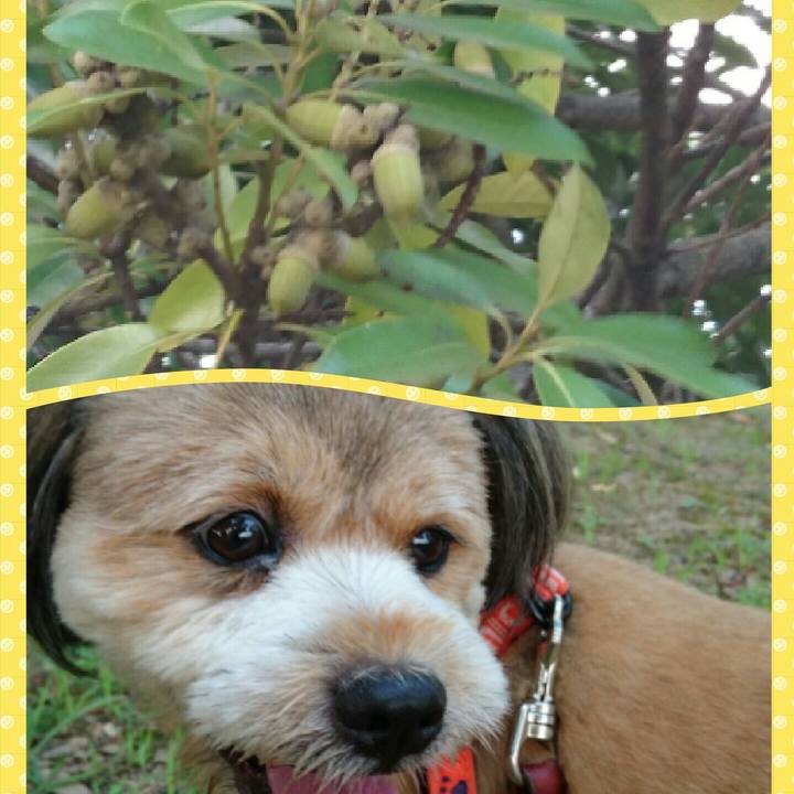 162242c4 a2ea 4791 9830 bf14373d327c