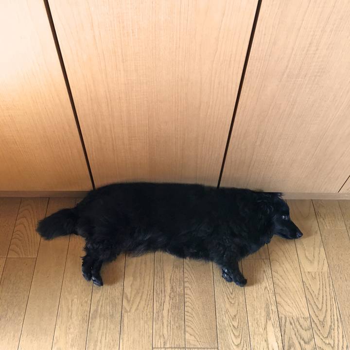 1622a7a3 2790 45c8 86c8 09ac4f584f1b