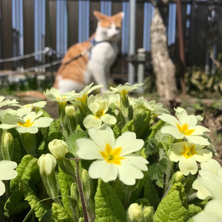 162351e0 625d 4baf 9c02 92679945857f