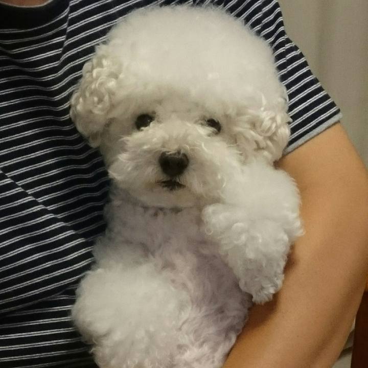 1623ab01 b252 4de3 b16a b03774593369