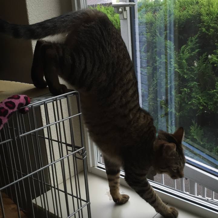 1623f431 d8c8 4d0d a3a3 9f20a4e0d7fb