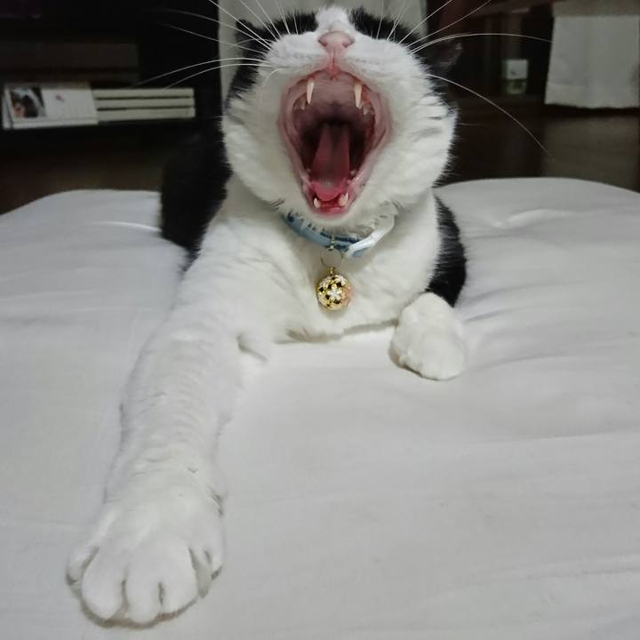 16241b18 1785 4c43 955f 5dd993fc82e2