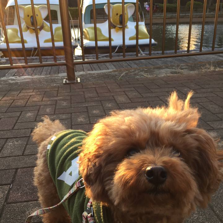 162422d9 12fd 4484 915c c6c0fc96c10f