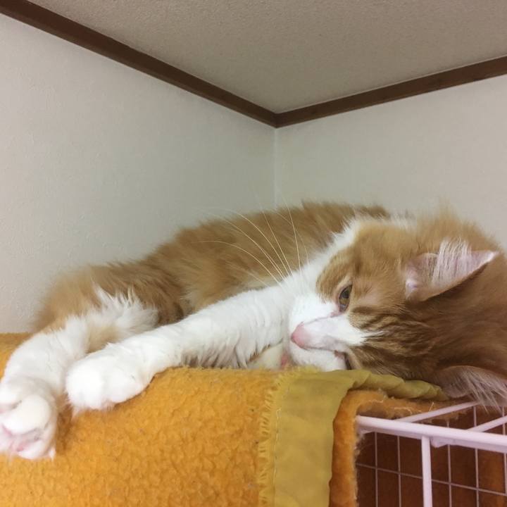 1624ae2d 32a7 44f1 8335 8a40be19c2dd