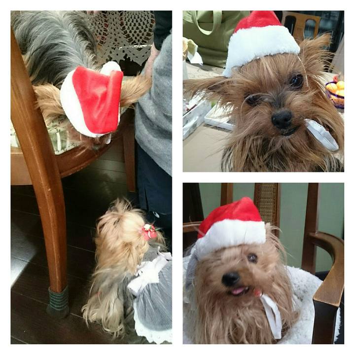 1624f629 7a23 46c8 bbb2 49b152b49fdb