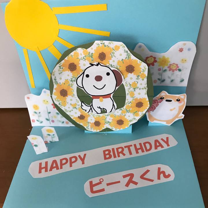 1625ec3d 2f71 47ea 8439 86ceccbd712b