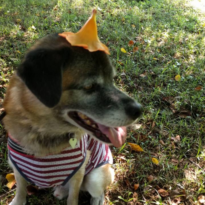 1625f146 b16a 4c34 ab52 bcc4539ba79d