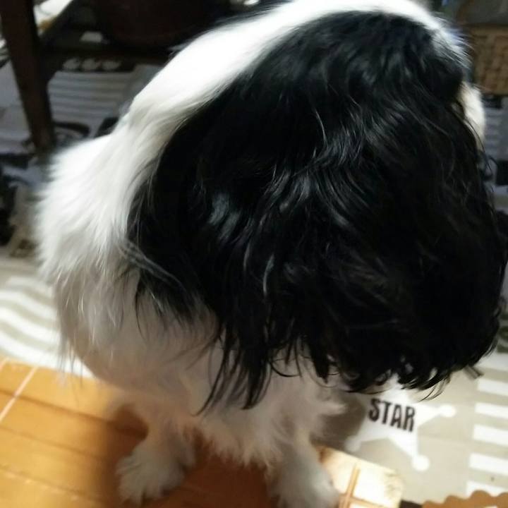 16267f4b 73b7 4d28 8b9a c2a6314281c1