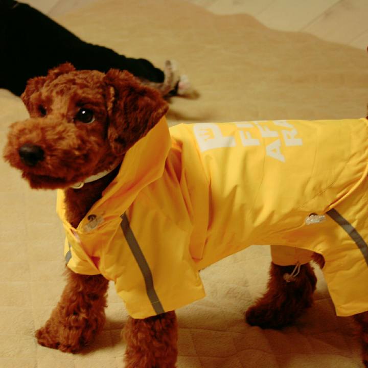 16269453 3b39 468a 8b34 9a556dec4216