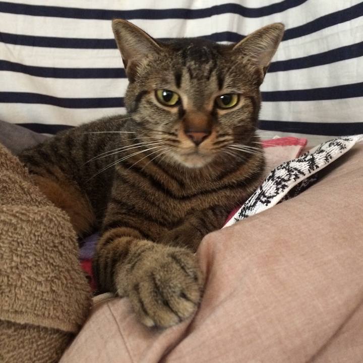 1626b4db f4c7 4a8a b458 e3b2c8b7b74b